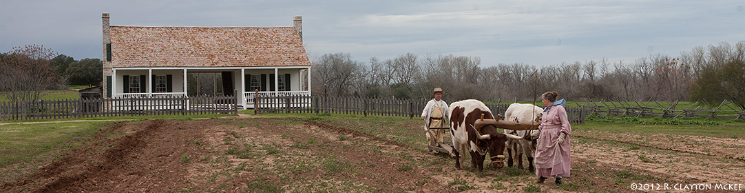 The Other Texas