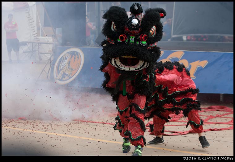 at the 2016 Houston Lunar New Year Festival (Asian New Year) at Viet Hoa Center.